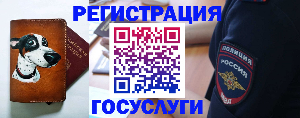 временная регистрация в квартире в Кольчугино